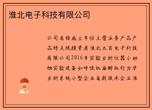 淮北电子科技有限公司